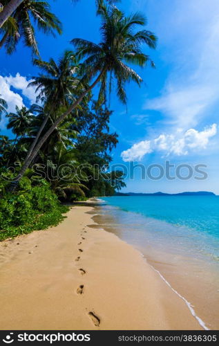 Tropical paradise. beautiful beach