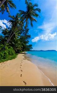 Tropical paradise. beautiful beach