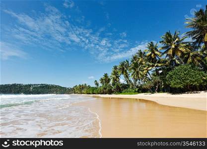 Tropical paradise idyllic beach. Mirissa, Sri Lanka