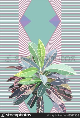Tropical pastel croton plant and sweet geometric background