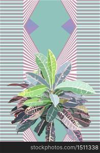 Tropical pastel croton plant and sweet geometric background