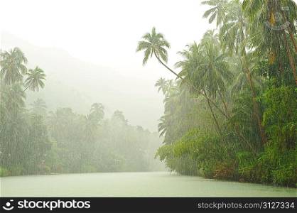 Tropical rain above river running through rainforest
