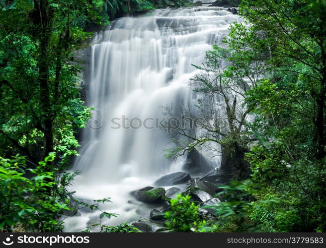 Tropical rain forest landscape with jungle plants and flowing water of Sirithan waterfall. Mae Klang Luang village, Doi Inthanon National park, Chiang Mai province, Thailand