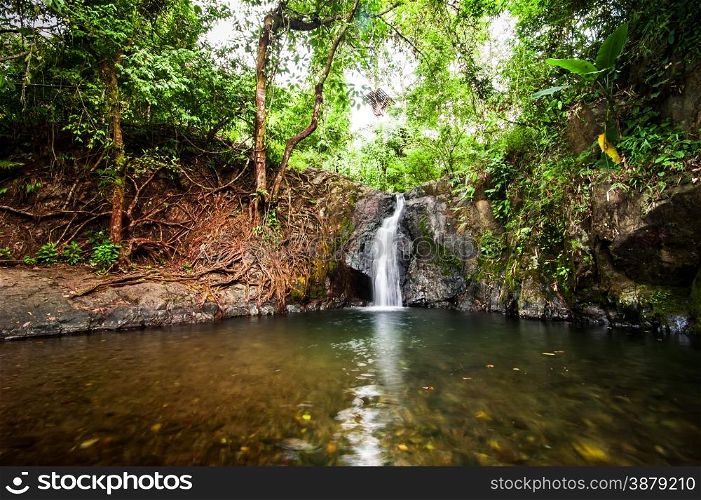 Tropical rain forest landscape with jungle plants and flowing water of small waterfall. Vang Vieng, Laos