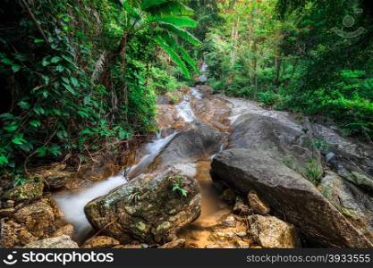 Tropical rain forest landscape with jungle plants and flowing water of small waterfall. Doi Inthanon National park, Chiang Mai province, Thailand