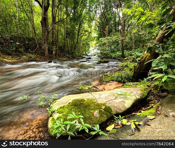 Tropical rainforest landscape with flowing river, rocks and jungle plants. Thailand
