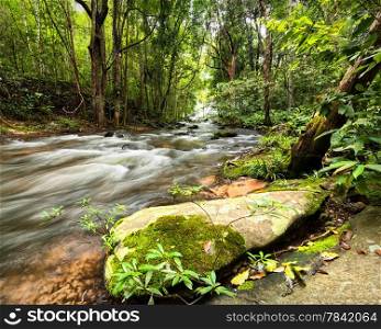 Tropical rainforest landscape with flowing river, rocks and jungle plants. Thailand