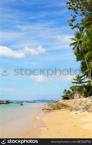 tropical sand beach in Andaman Sea, Thailand