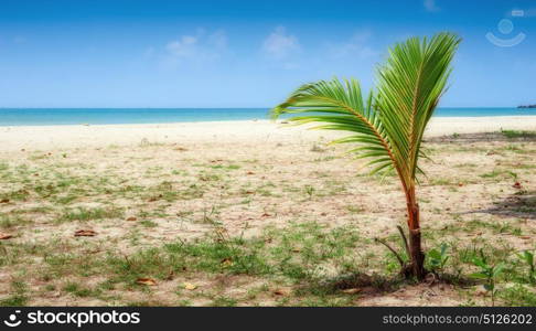 Tropical sand beach on an island in Thailand