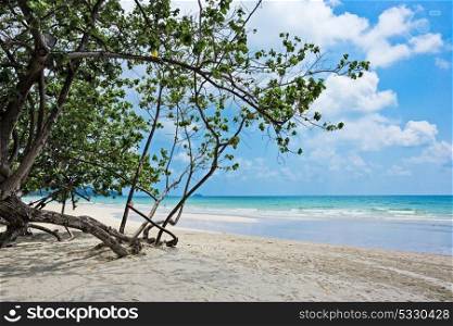 Tropical sand beach. Tropical sand beach on an island in Thailand