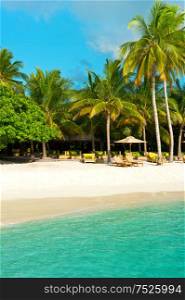 Tropical sand beach with palm trees. Island of Maldives