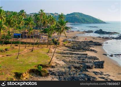 Tropical sandy beach and palm trees near the ocean