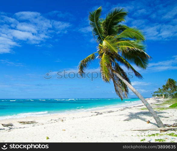 tropical sea and blue sky