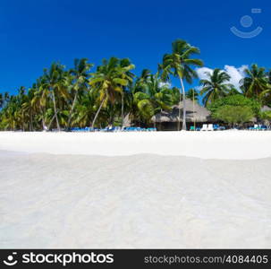 tropical sea and blue sky