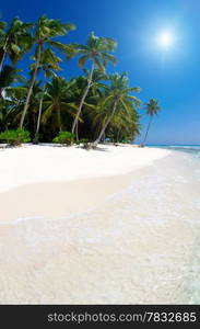 tropical sea and blue sky