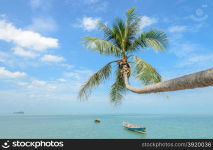 Tropical sea beach with coconut palm tree and long-tail boat in Thailand