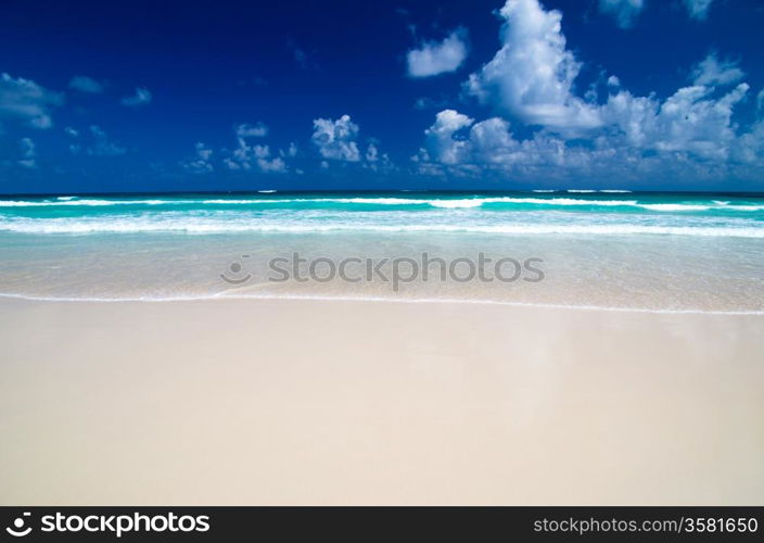 tropical sea under the blue sky