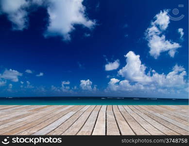 tropical sea under the blue sky