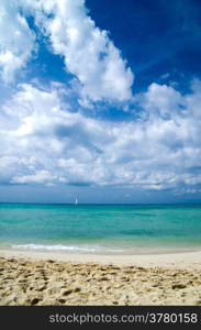 tropical sea under the blue sky