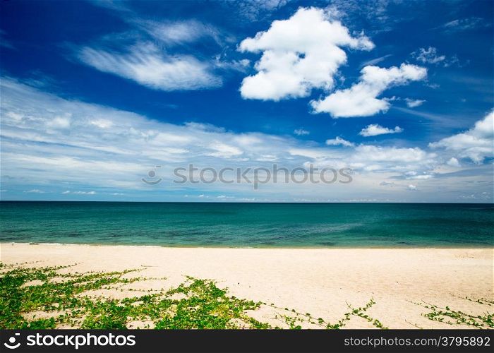 tropical sea under the blue sky