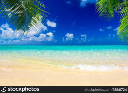 tropical sea under the blue sky