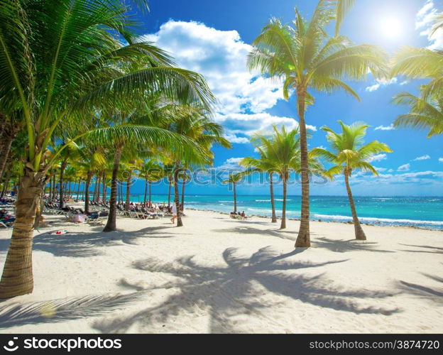 tropical sea under the blue sky