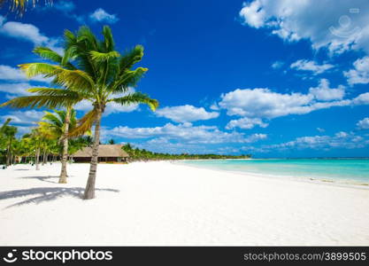 tropical sea under the blue sky