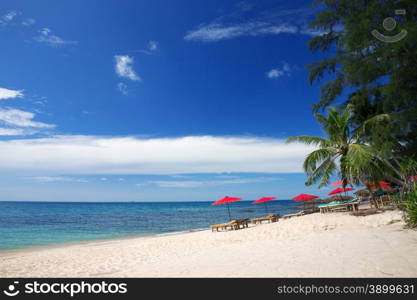 tropical sea under the blue sky