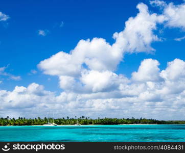 tropical sea under the blue sky