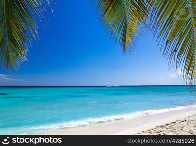 tropical sea under the blue sky