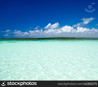 tropical sea under the blue sky