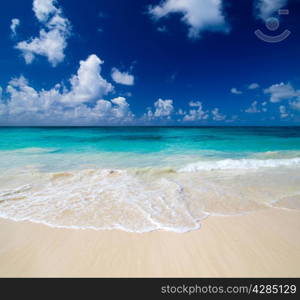 tropical sea under the blue sky