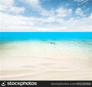 Tropical summer beach. Ocean outdoor day landscape. Tropical summer beach. Tropical summer beach