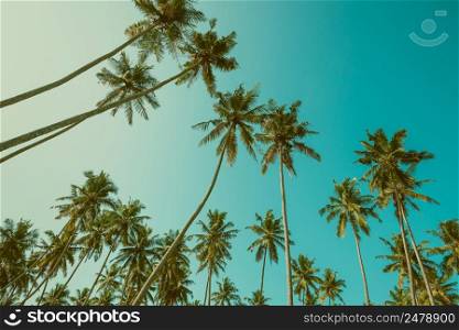 Tropical summer palms vintage toned