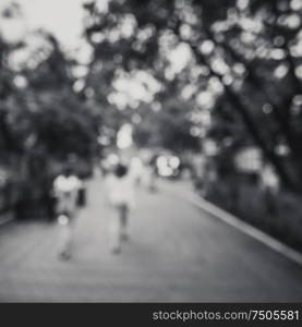 Tropical summer park. Black and white outdoor background. Tropical summer park black and white