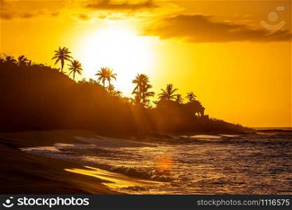 Tropical sunset at the beach with palms at dawn. Tropical sunset at the beach with palms