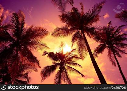 Tropical sunset beach vivid sky and palm tree silhouettes
