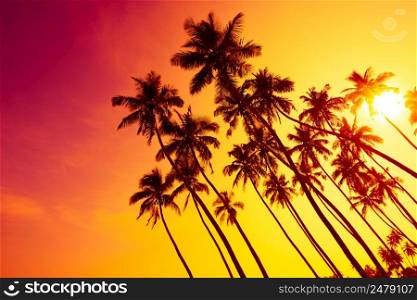 Tropical sunset beach with palm trees silhouettes and shining sun