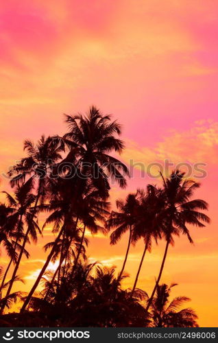 Tropical sunset coconut palm trees 