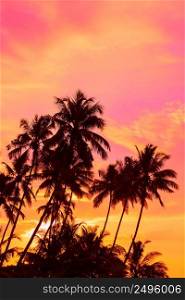 Tropical sunset coconut palm trees 