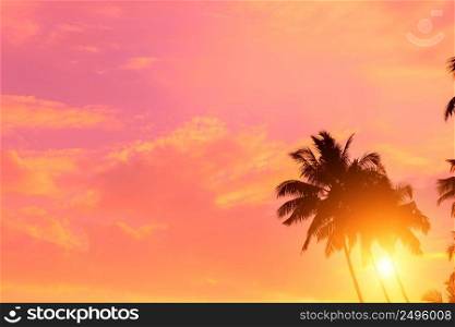 Tropical sunset. Coconut palm trees with shining sun, vivid sky and copy-space.