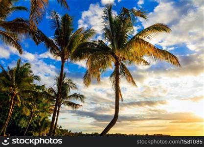 tropical sunset. Mauritius island, trou aux biches beach