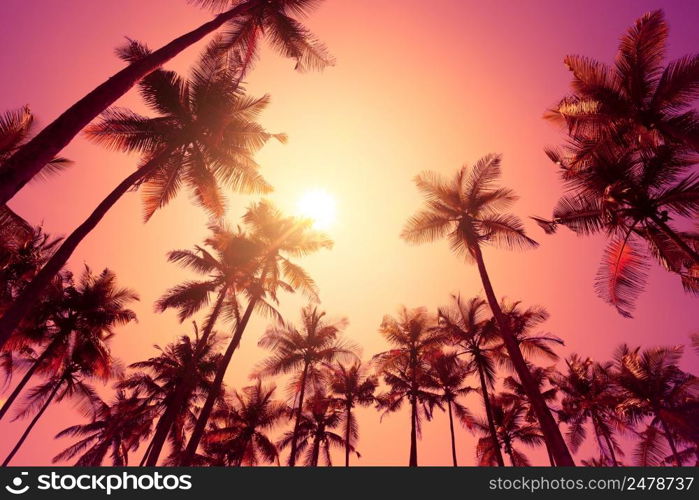 Tropical sunset on a beach with palm trees