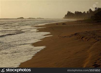 Tropical sunset on ocean. Sri Lanka