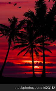 Tropical Sunset Palm Silhouette Landscape