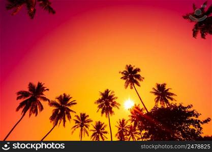 Tropical sunset. Palm trees at vivid sunset with colorful sky as copy space.