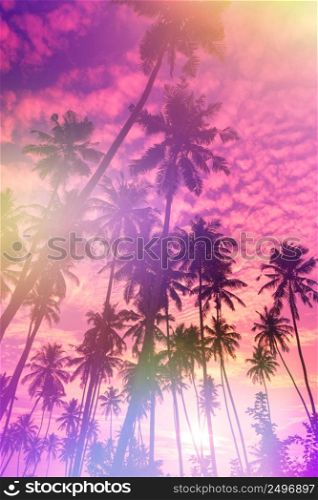 Tropical sunset retro stylized with film light leaks