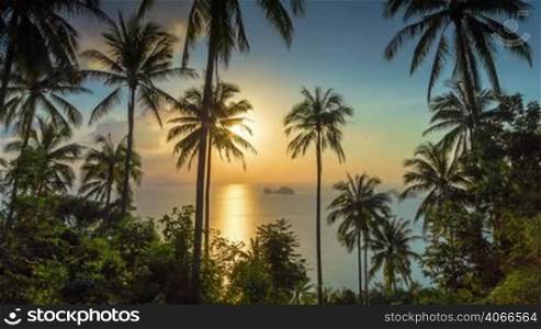 Tropical sunset sea and palms time lapse