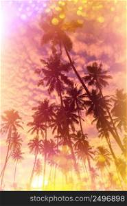 Tropical sunset stylized with vintage film light leaks and magic golden glitter