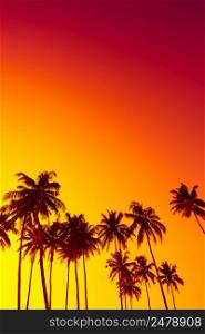 Tropical sunset with coconut palm trees on the beach vertical with copy space